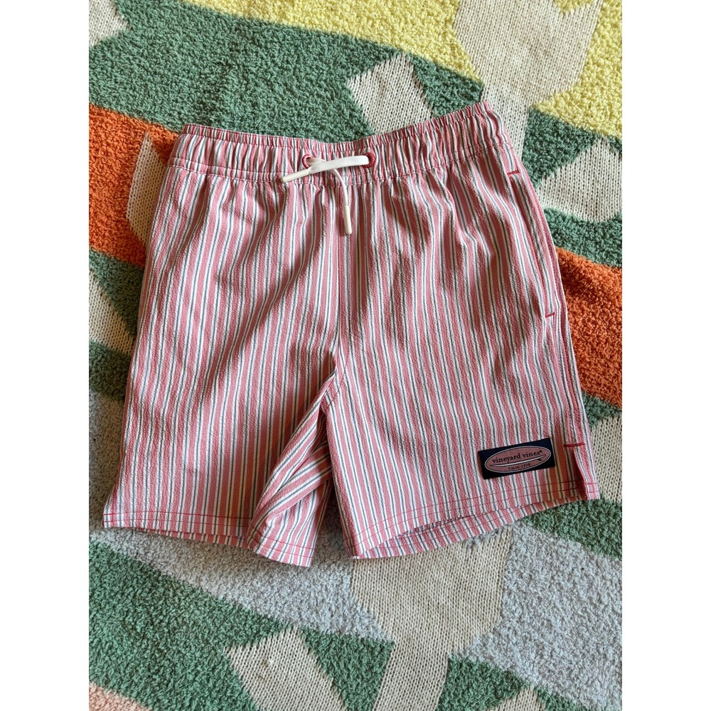 Vineyard Vines Boys Red Blue Striped Swim Trunks Size 6 NWOT